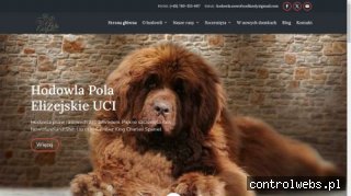 Hodowla psów rasy Nowofundland, Shih Tzu, Cavalier