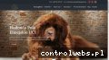 Screenshot strony nowofundlandy.com.pl