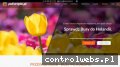 Screenshot strony www.poeuropie.pl