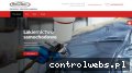 Screenshot strony www.perfektauto.eu
