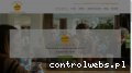 Screenshot strony www.fruittogo.pl