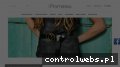 Screenshot strony promesso.pl