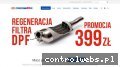 Screenshot strony czyszczeniedpf.pl