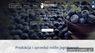 www.szetynscy.pl