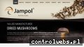 Screenshot strony www.jampol.eu