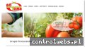 Screenshot strony botoma.com.pl