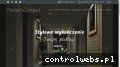 Screenshot strony prodanproject.com
