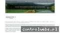 Screenshot strony psychpro.pl
