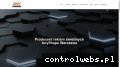Screenshot strony anyshape.pl