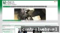 Screenshot strony www.arte-ferrum.eu