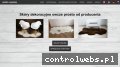 Screenshot strony skory-owcze.pl