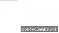 Screenshot strony www.cs-synergy.com
