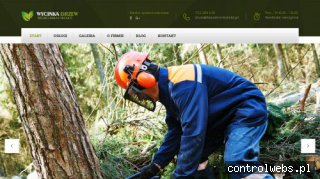 Karczowanie drzew Bielsko-Biała mulczer oraz koszenie trawy