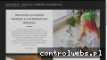 Screenshot strony androidapps.pl