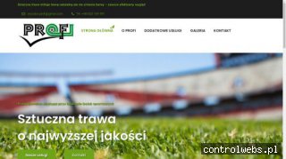 Profi - sztuczna trawa