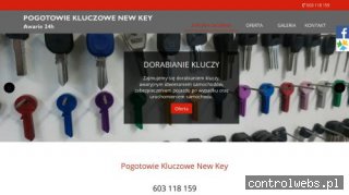 dorabianiekluczysuchylas.pl