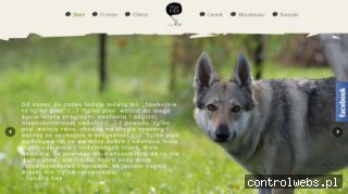 Tylko pies - szkolenie psów Warszawa i okolice