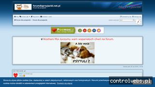 forum dla przyjaciół