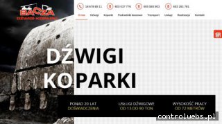dzwigikoparki-przemysl.pl