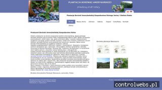 Plantacja borówki