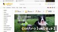 Screenshot strony yellowsport.pl