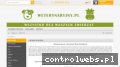 Screenshot strony weterynaryjny.pl