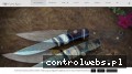 Screenshot strony dan.wlknives.eu