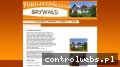 Screenshot strony grywald.pl