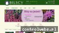 Screenshot strony www.bilscy.info