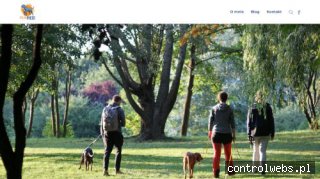 Szkolenie psów Gdynia COZAPIES Inicjatywa