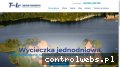 Screenshot strony www.trans-lech.pl