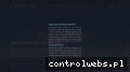 Screenshot strony intudom.com