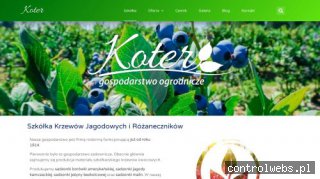 Sadzonki borówki amerykańskiej | Koter