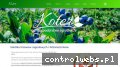 Screenshot strony koter.com.pl