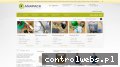 Screenshot strony www.anapack.eu