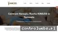 Screenshot strony www.centrumnarzaduruchu.pl