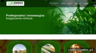 bioenergia-strzykocin.pl
