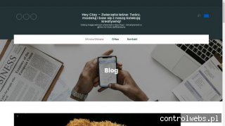 RenoSerwis naprawa wszystkich pojazdów Renault