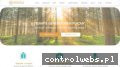 Screenshot strony borela.pl