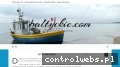 Screenshot strony baltyckie.com