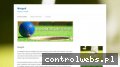 Screenshot strony www.minigolfclub.pl