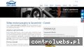 Screenshot strony carwit.pl