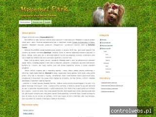 Mummel Park Hodowla Yorkshire Terrier