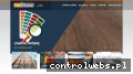 Screenshot strony the-floor.pl