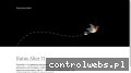 Screenshot strony wykrywacze-metali.com.pl