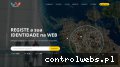Screenshot strony www.scandidecor.pl