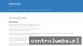 Screenshot strony brokerpartner.pl