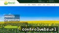 Screenshot strony mestall.pl