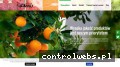 Screenshot strony www.fruitsvegetablesgroup.eu