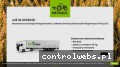 Screenshot strony www.netcalc.pl